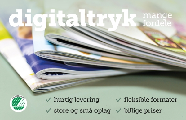 digitaltryk2024